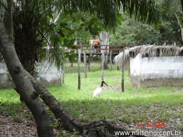 Foto - Lontra (11).jpg